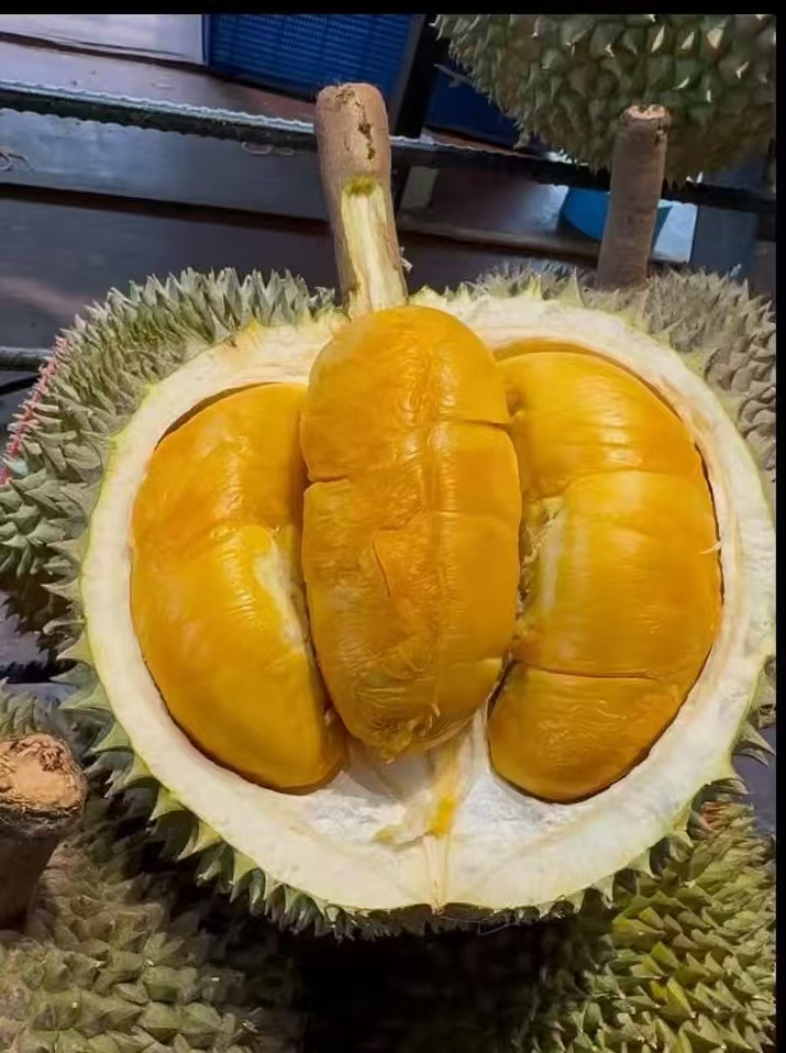 Black Thorn durian cut open